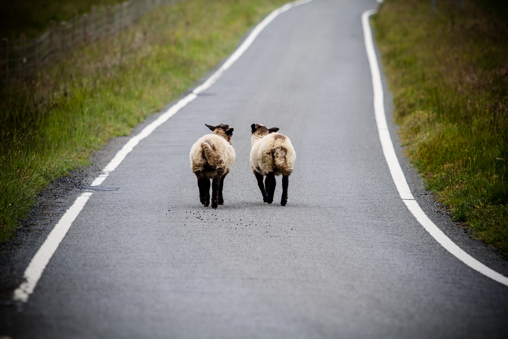 Fotoreise Schottland