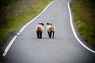 Fotoreise Schottland von sebcon 