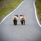 Fotoreise Schottland