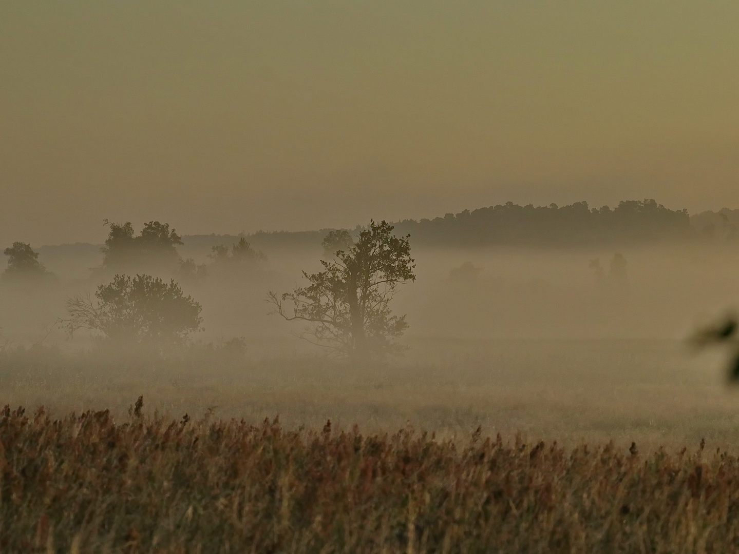 Fotorevier 30.07.2023