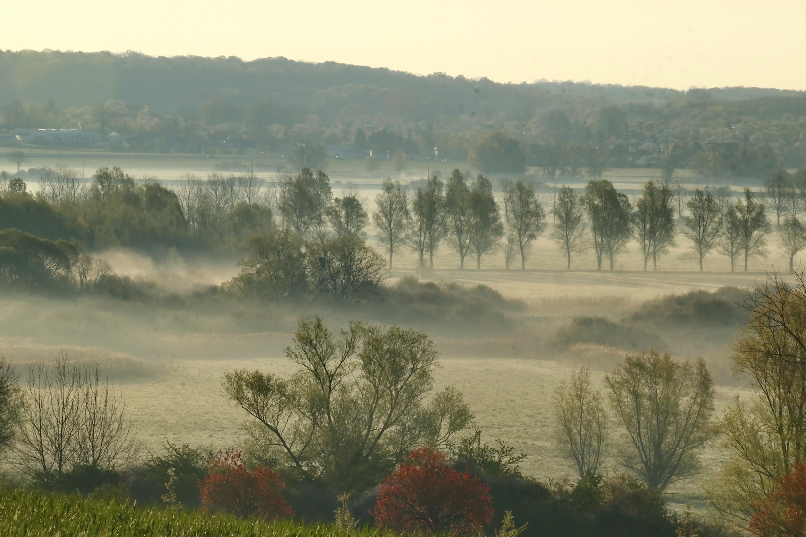 Fotorevier am Morgen