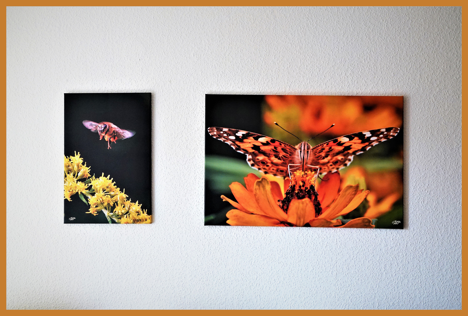 Fotos auf Leinwand