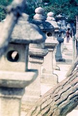 Fotos auf und rund um Miyajima (4)