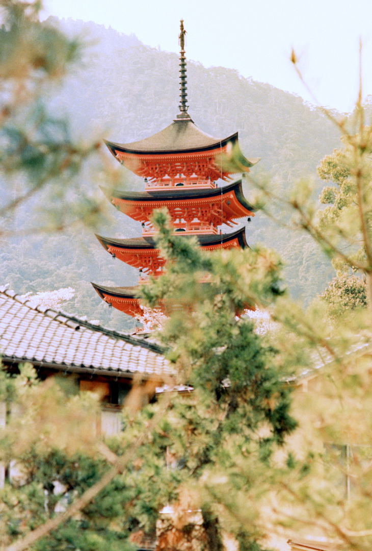 Fotos auf und rund um Miyajima (5)