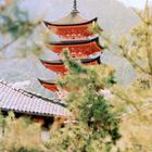 Fotos auf und rund um Miyajima (5)