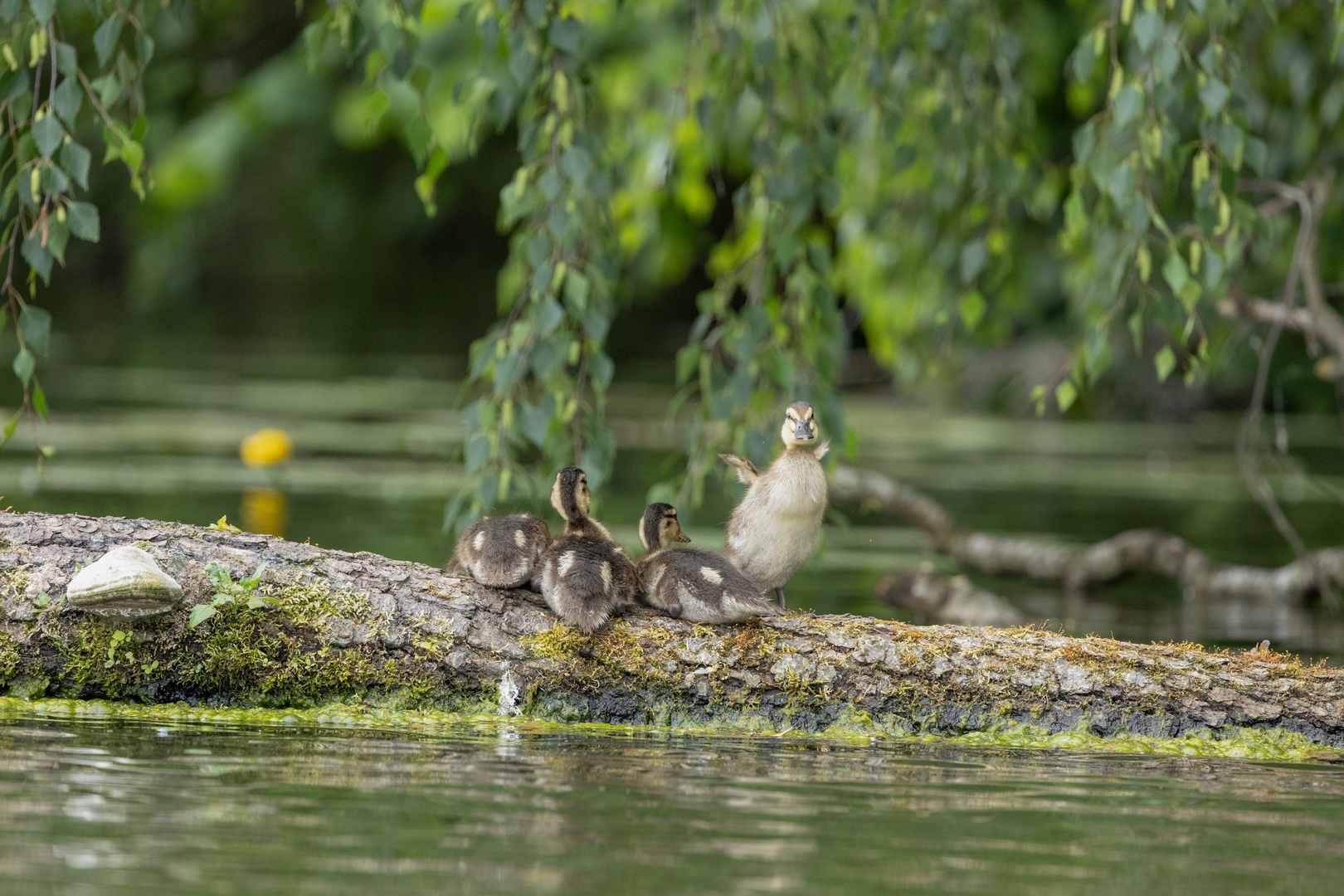 Fotos aus dem Kajak