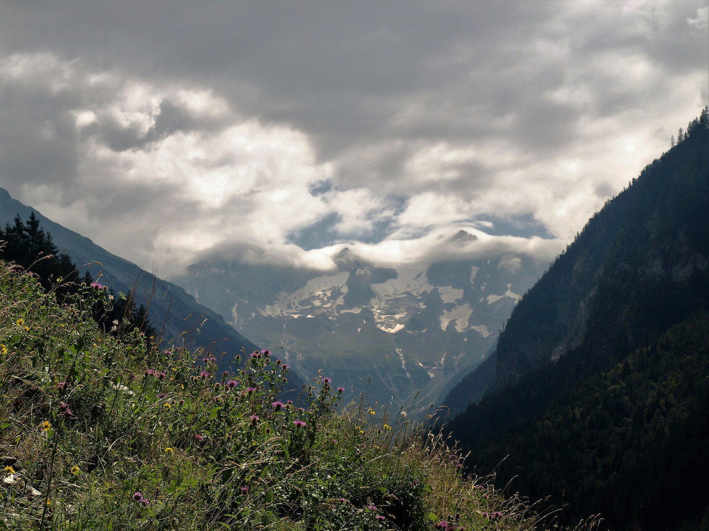 Fotos aus dem Zillertal Teil 2