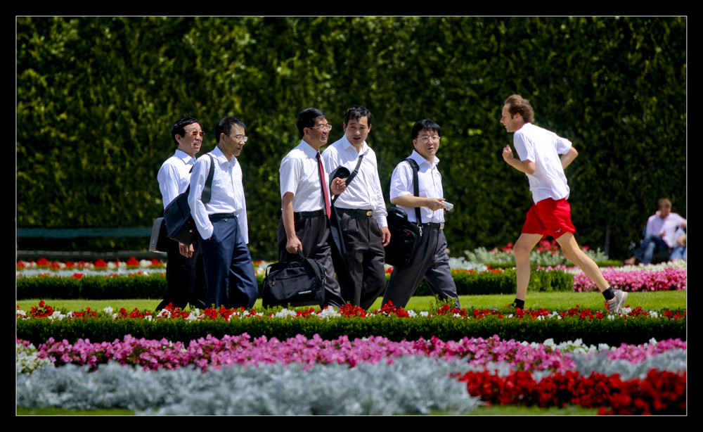 Fotos aus Park Schönbrunn |5| Hey-Hai