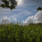 Fotos von Herchen vom sog. Künstlerweg aus