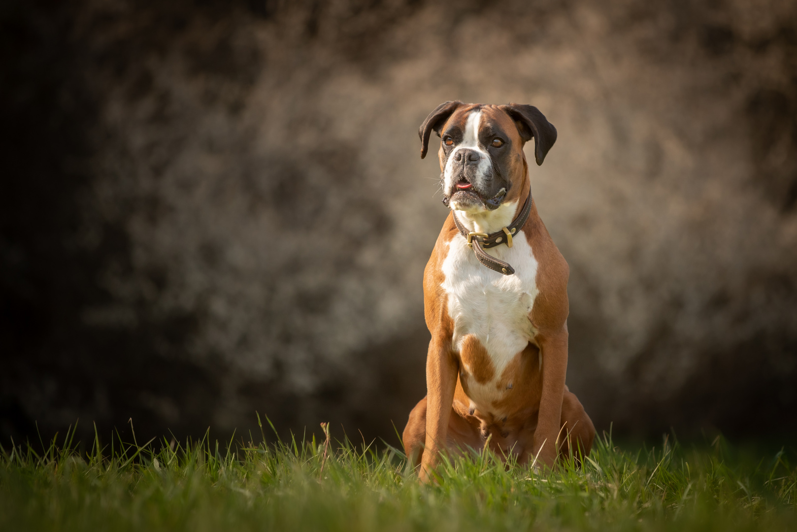 Fotoschooting Outdoor mit Hope & Beven