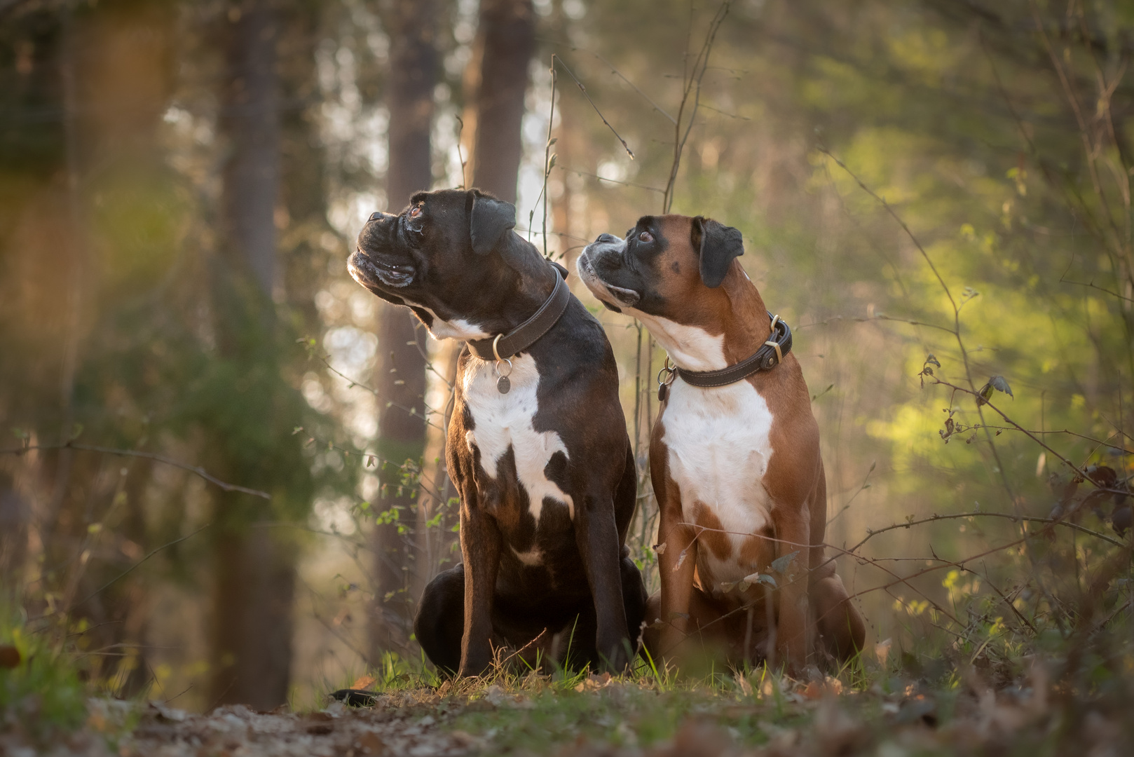 Fotoschooting Outdoor mit Hope & Beven