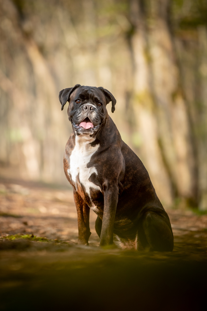 Fotoschooting Outdoor mit Hope & Beven