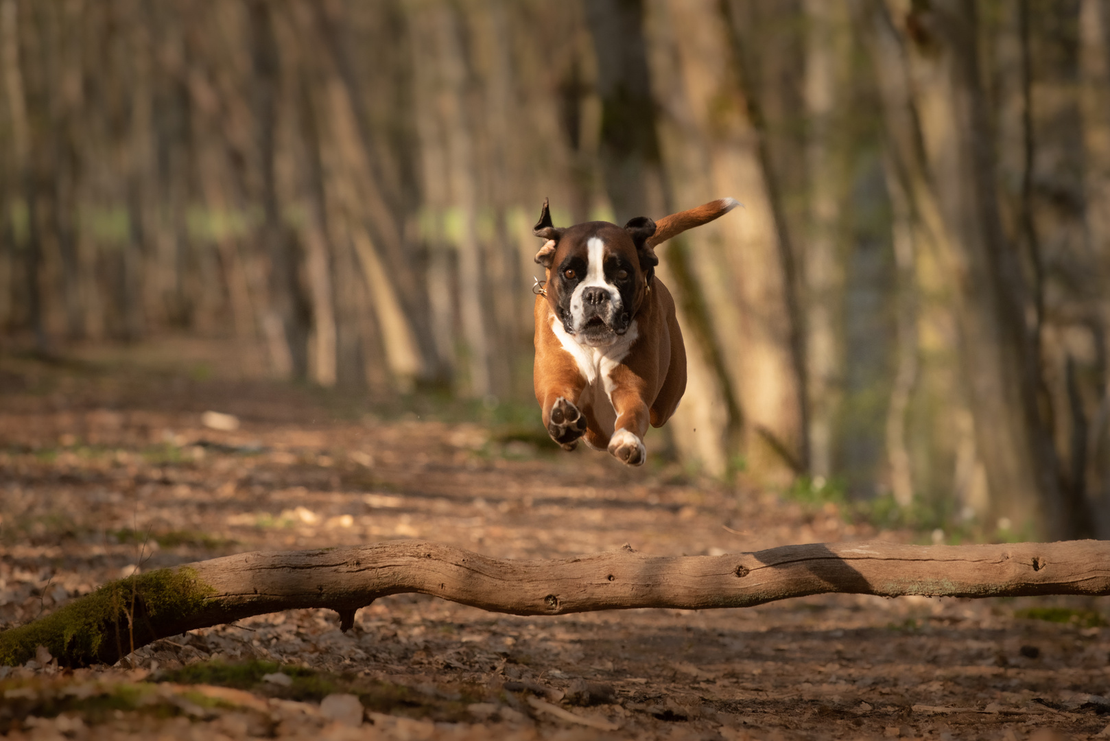 Fotoschooting Outdoor mit Hope & Beven