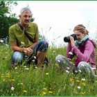 Fotoschule in der Orchideenwiese