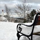 Fotoserie: Hochland Insel Hiddensee 