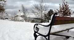 Fotoserie: Hochland Insel Hiddensee 