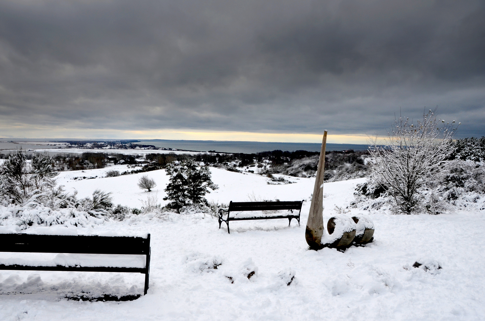 Fotoserie: Hochland Insel Hiddensee 