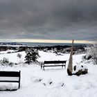 Fotoserie: Hochland Insel Hiddensee 