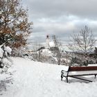 Fotoserie: Hochland Insel Hiddensee 