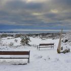 Fotoserie: Hochland Insel Hiddensee 