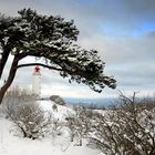 Fotoserie: Hochland Insel Hiddensee 