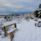 Fotoserie: Hochland Insel Hiddensee 