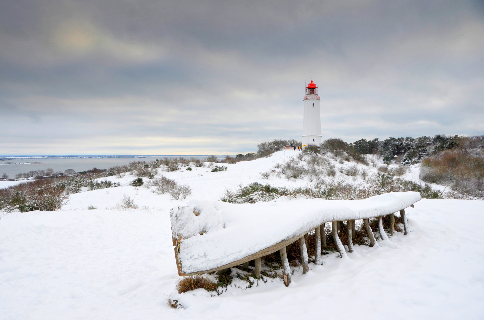 Fotoserie: Hochland Insel Hiddensee 