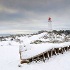 Fotoserie: Hochland Insel Hiddensee 