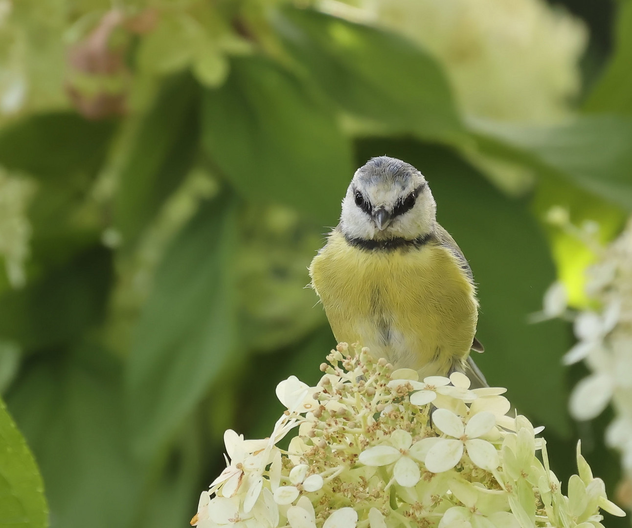 .*:*:*:*  Fotoshooting .*.*.*.*