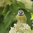 .*:*:*:*  Fotoshooting .*.*.*.*