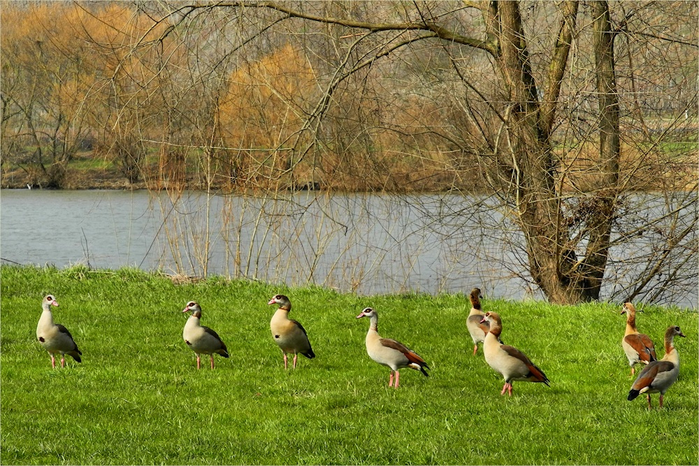 " Fotoshooting "