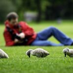 Fotoshooting auf der Wiese