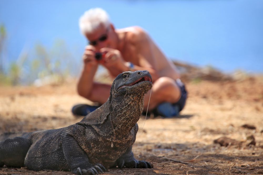 Fotoshooting auf Komodo