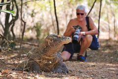 Fotoshooting auf Komodo