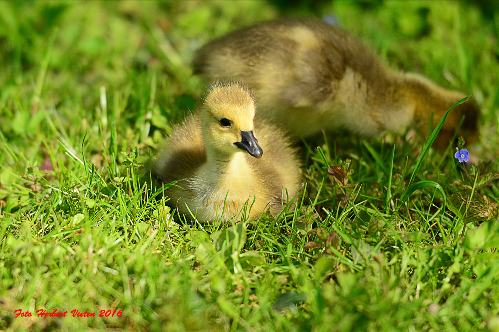 ...Fotoshooting...