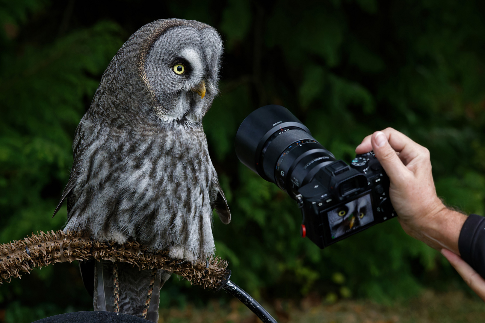 Fotoshooting