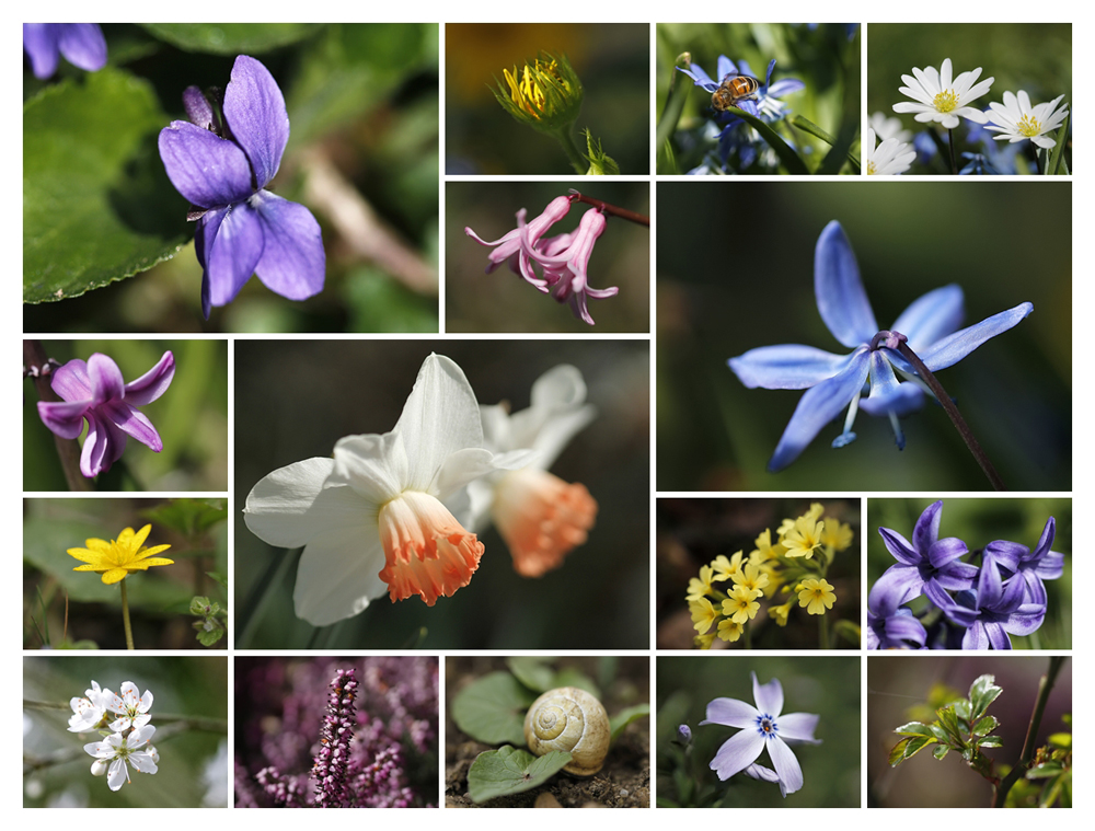 Fotoshooting im Garten...