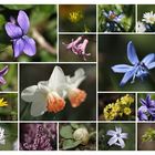 Fotoshooting im Garten...