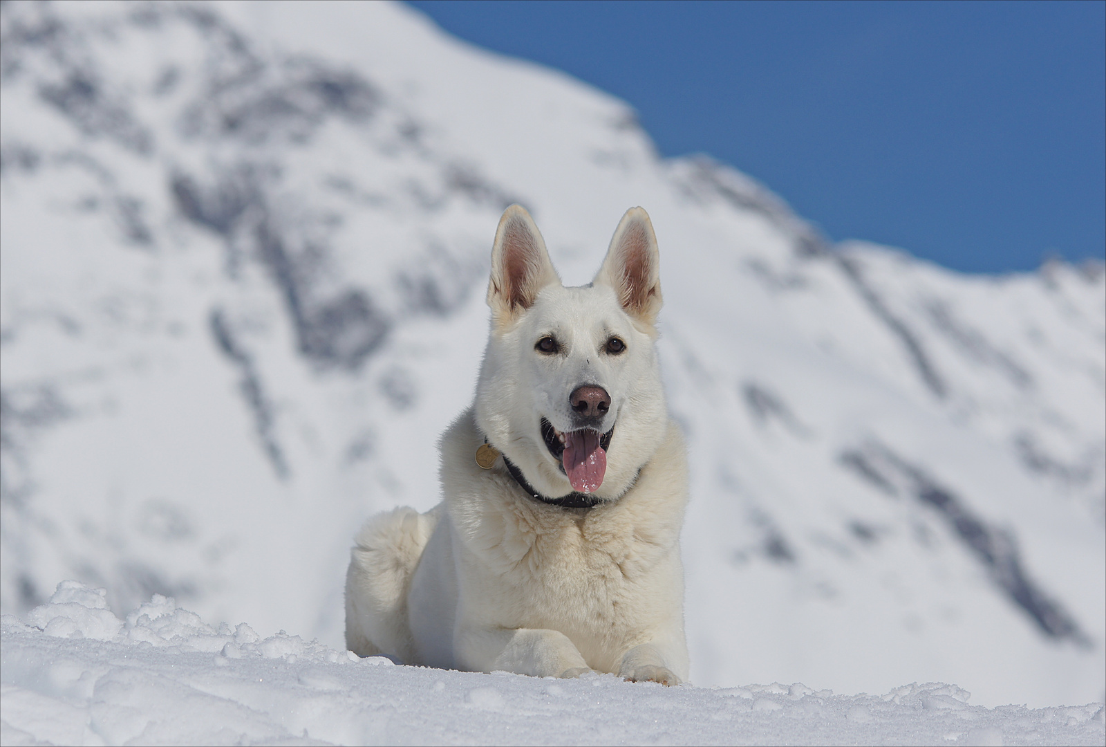 Fotoshooting im Schnee