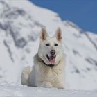 Fotoshooting im Schnee