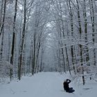 Fotoshooting im Winterwald