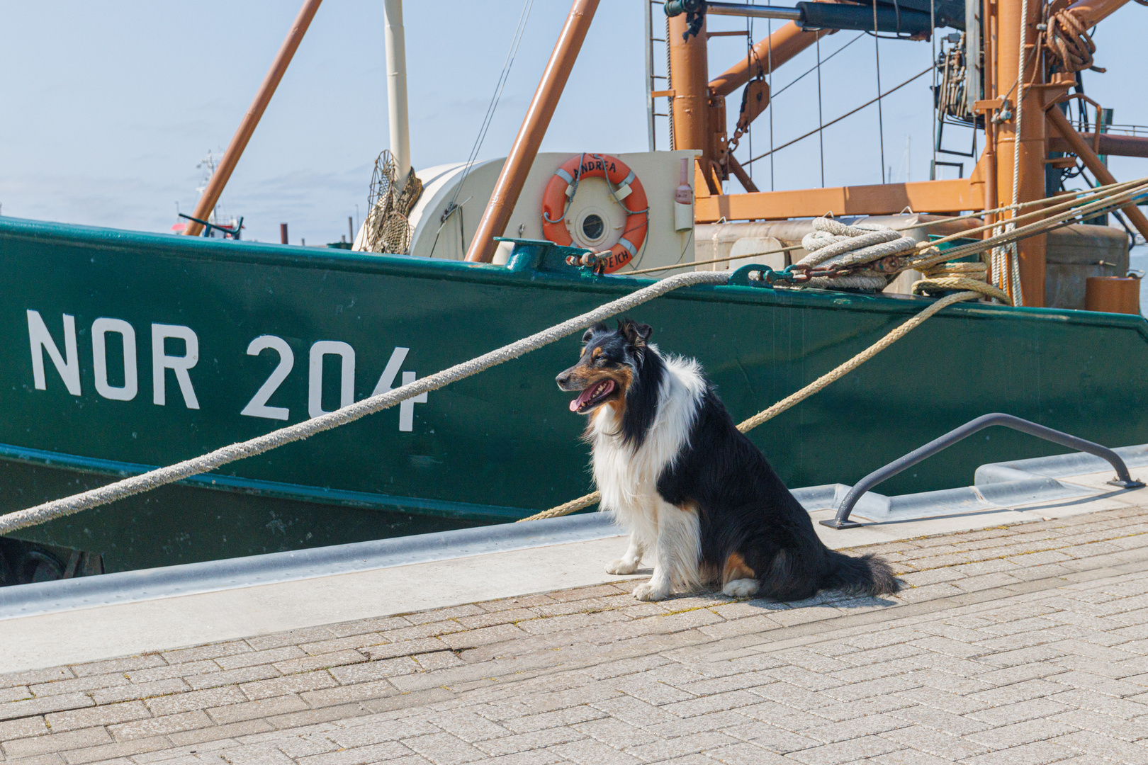 Fotoshooting in Norddeich mit Cooper