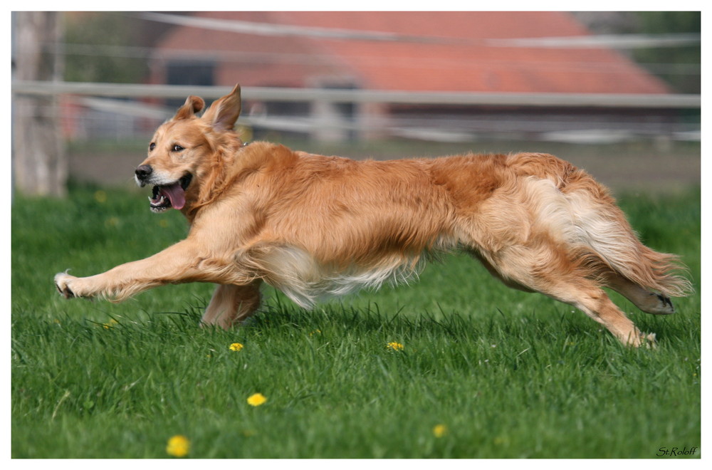 Fotoshooting mit Ben 2