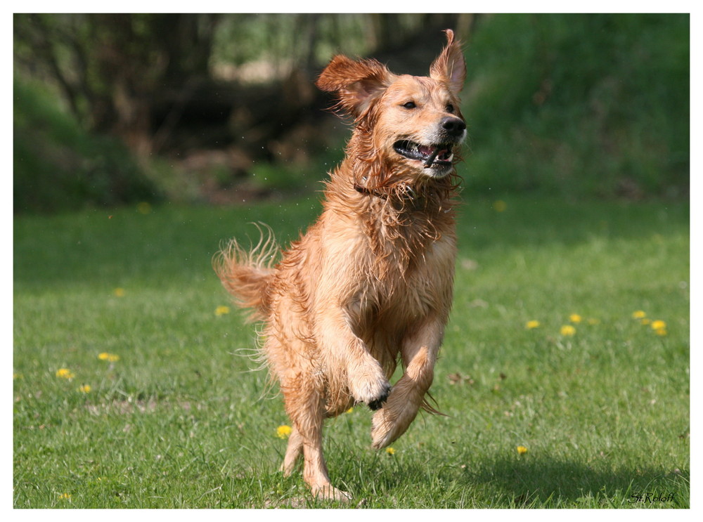 Fotoshooting mit Ben 3