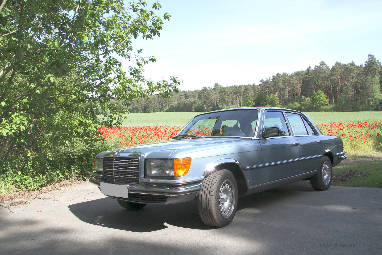 Fotoshooting mit einem Mercedes Benz W 116 280 SE