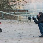 Fotoshooting mit einem Trauerschwan