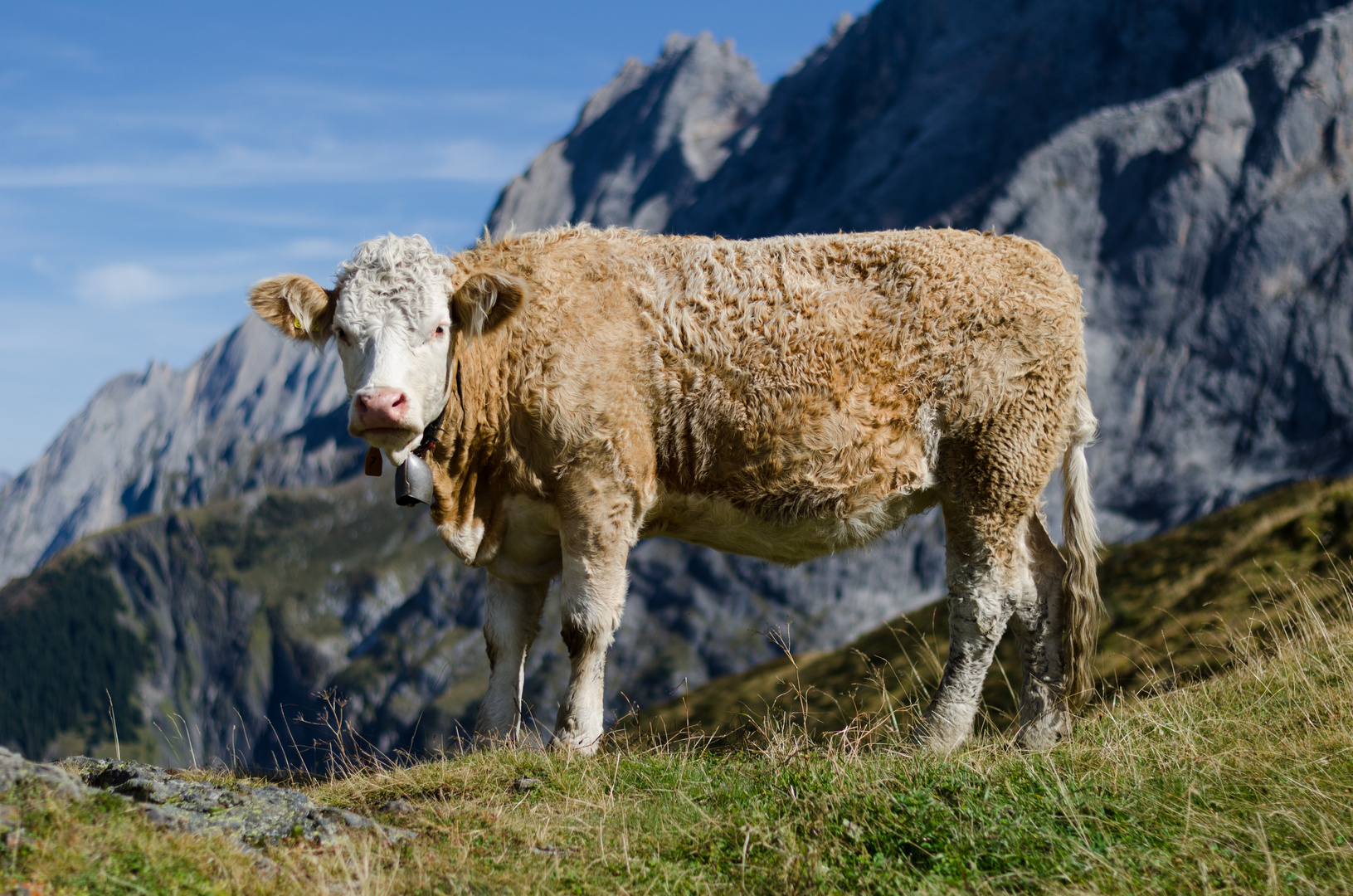 Fotoshooting mit Frieda