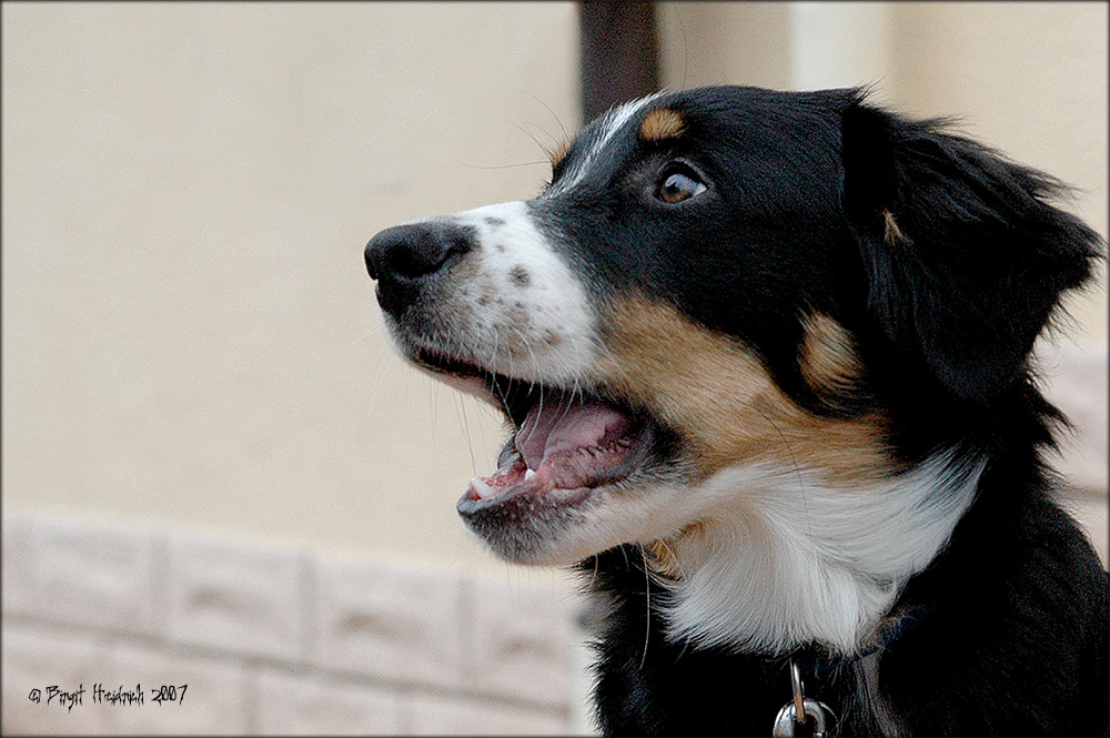 Fotoshooting mit Luca ....