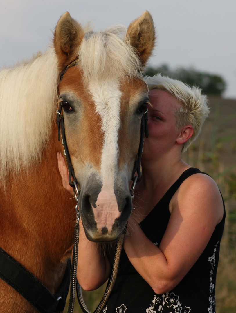 Fotoshooting mit Pferd