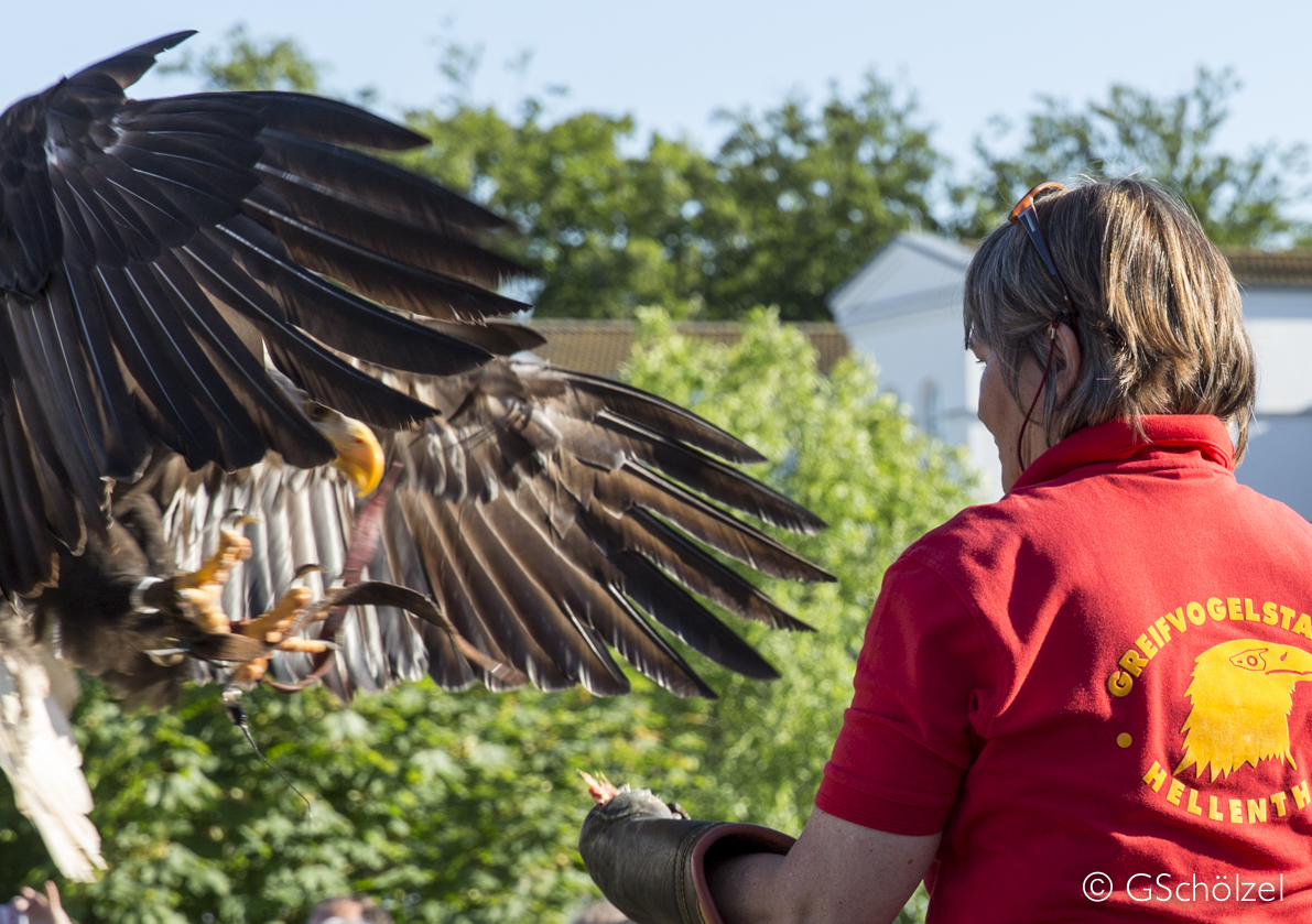 Fotoshooting Zingst 2014